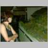 IM002866.html
