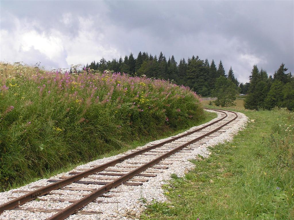 Railnet vylet 4.8.2007