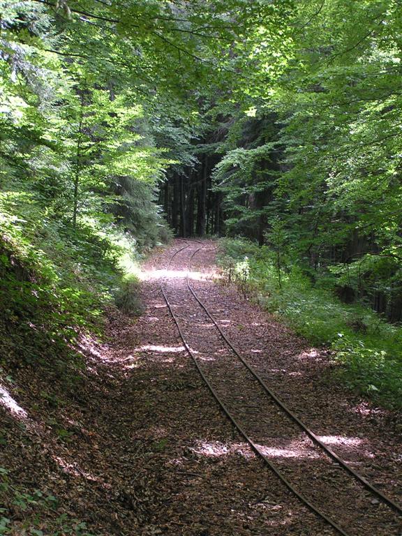 Railnet vylet 4.8.2007