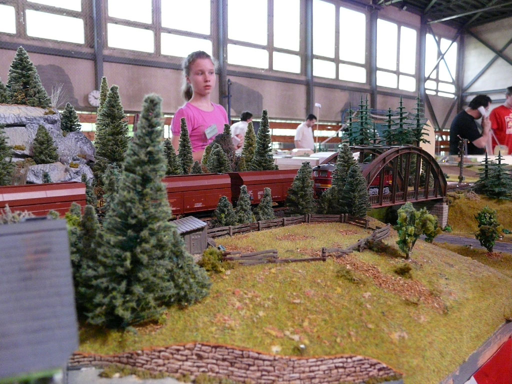 Kokava2010