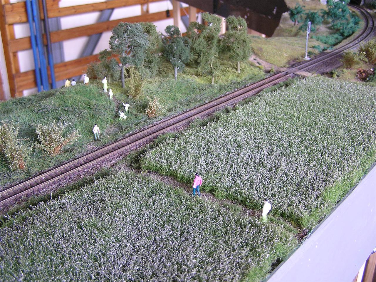 Stretnutie modulákov v Kokave nad Rimavicou