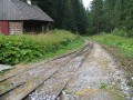 Kysucko - oravská lesná železnica - 1