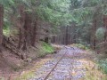 Kysucko - oravská lesná železnica - 12